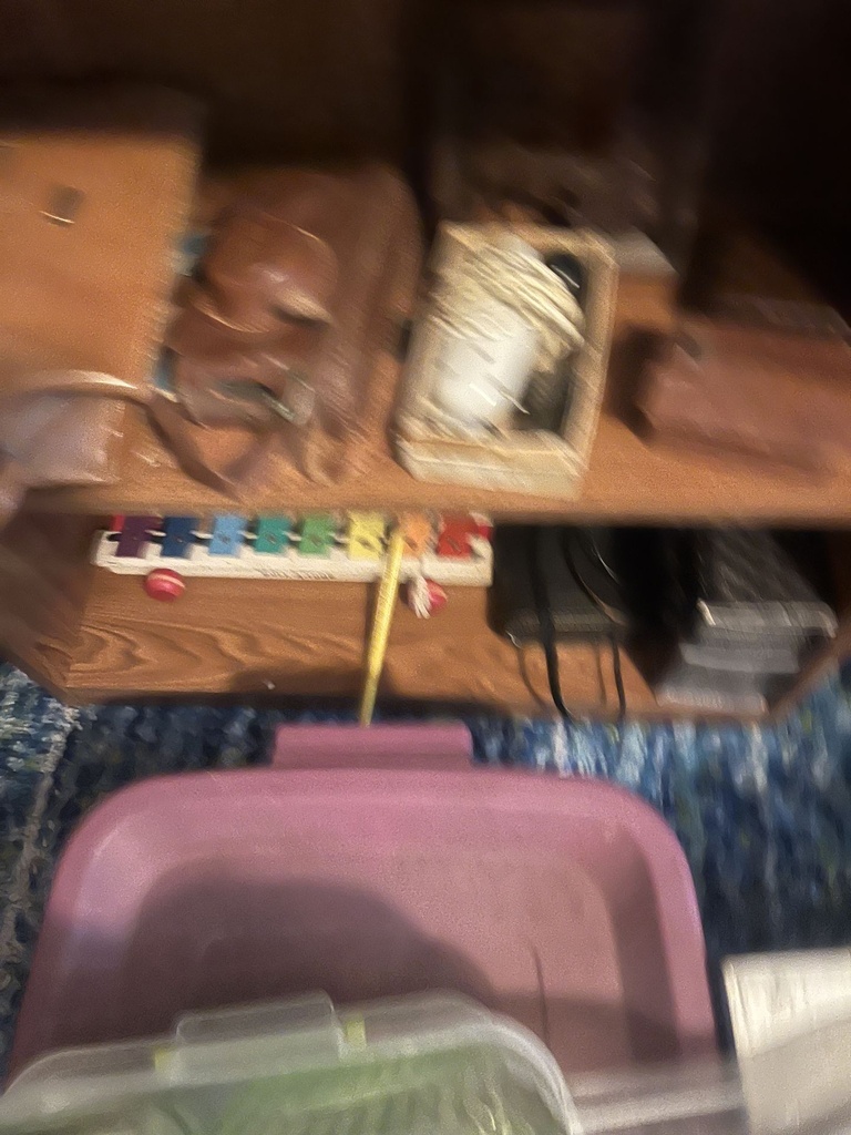 IMG_0808.jpeg