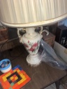 IMG_0826.jpeg