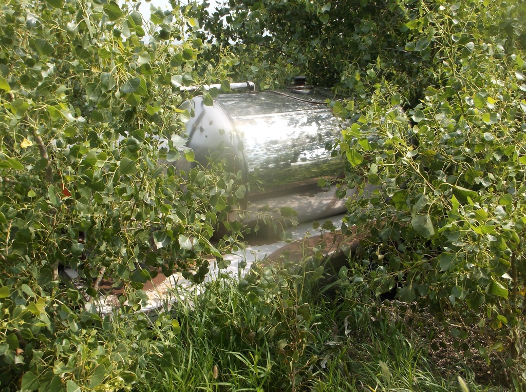 DSCF0856.JPG