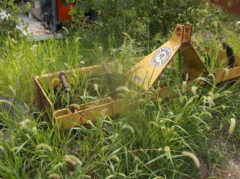 DSCF0852.JPG