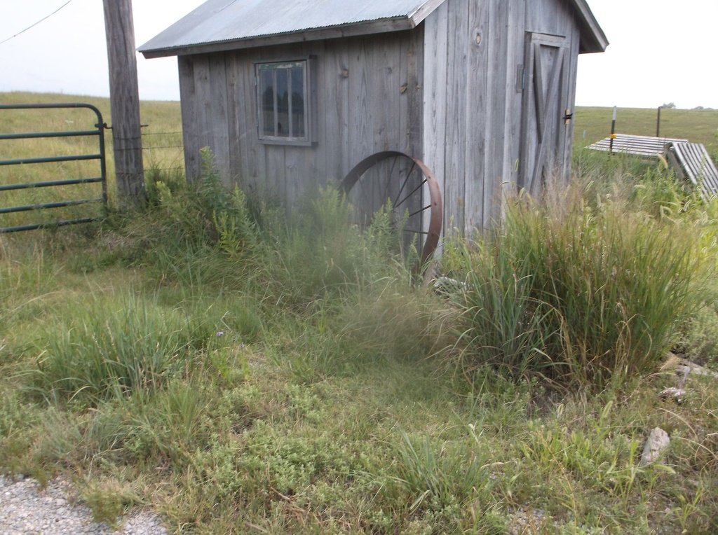 DSCF0845.JPG
