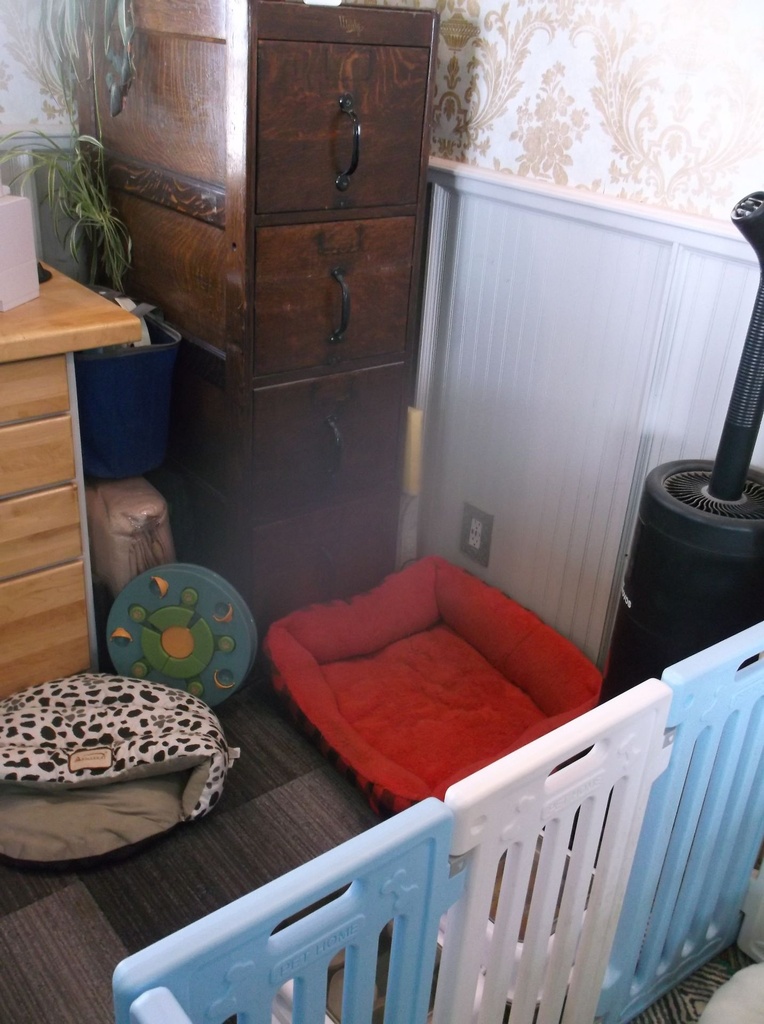 DSCF1046.JPG
