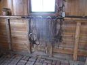 DSCF1070.JPG