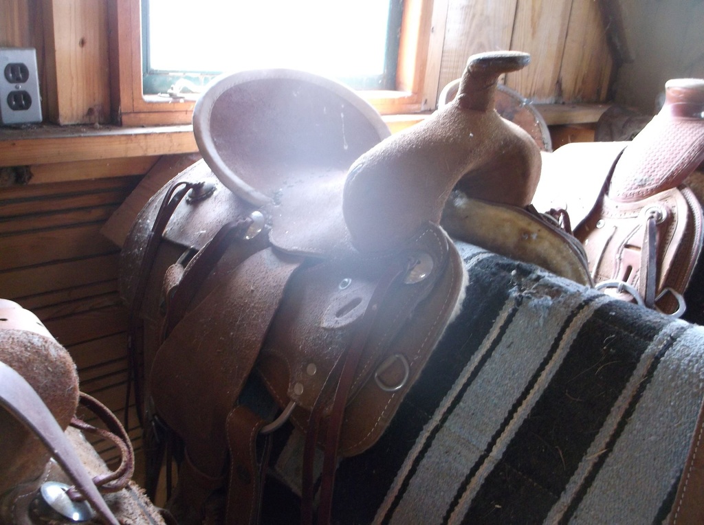 DSCF1066.JPG
