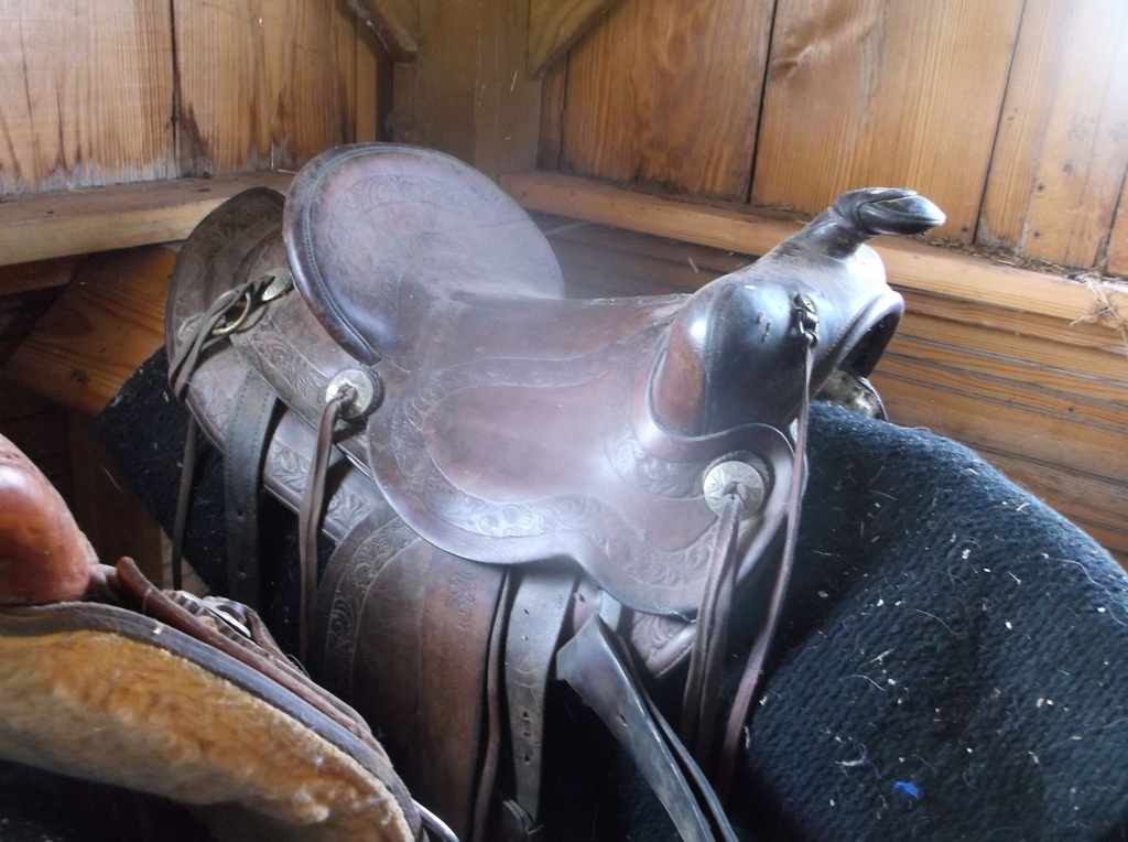 DSCF1064.JPG