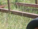 DSCF1054.JPG