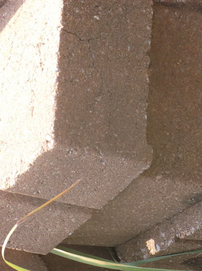 DSCF1052.JPG