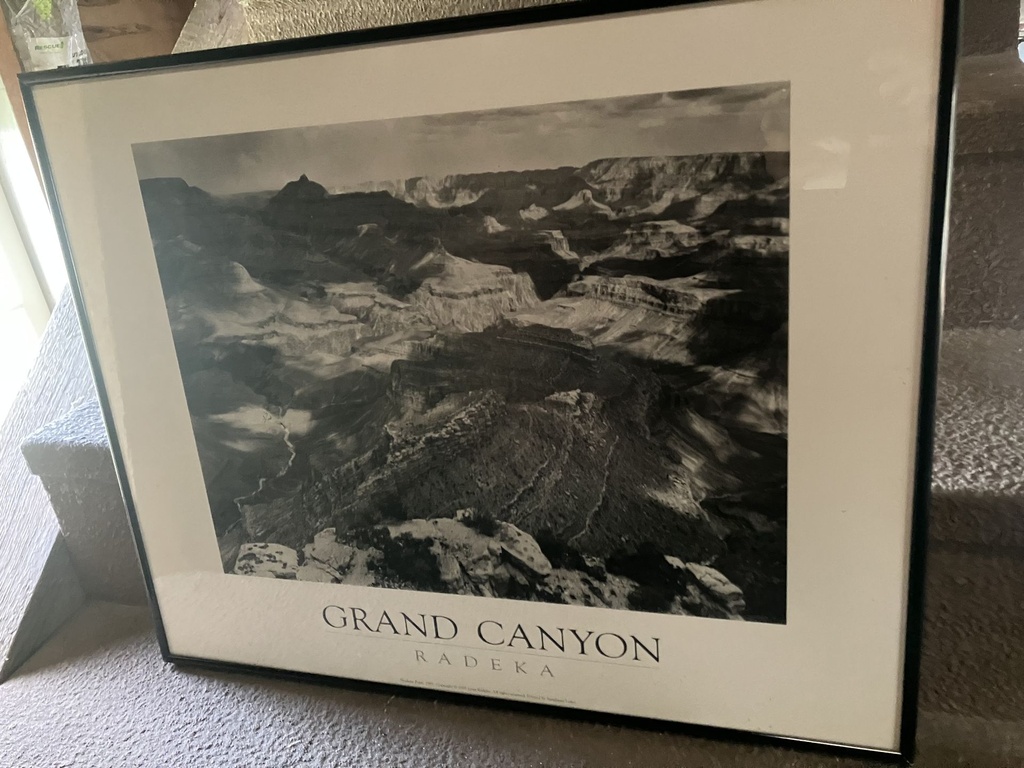 IMG_2371.jpg