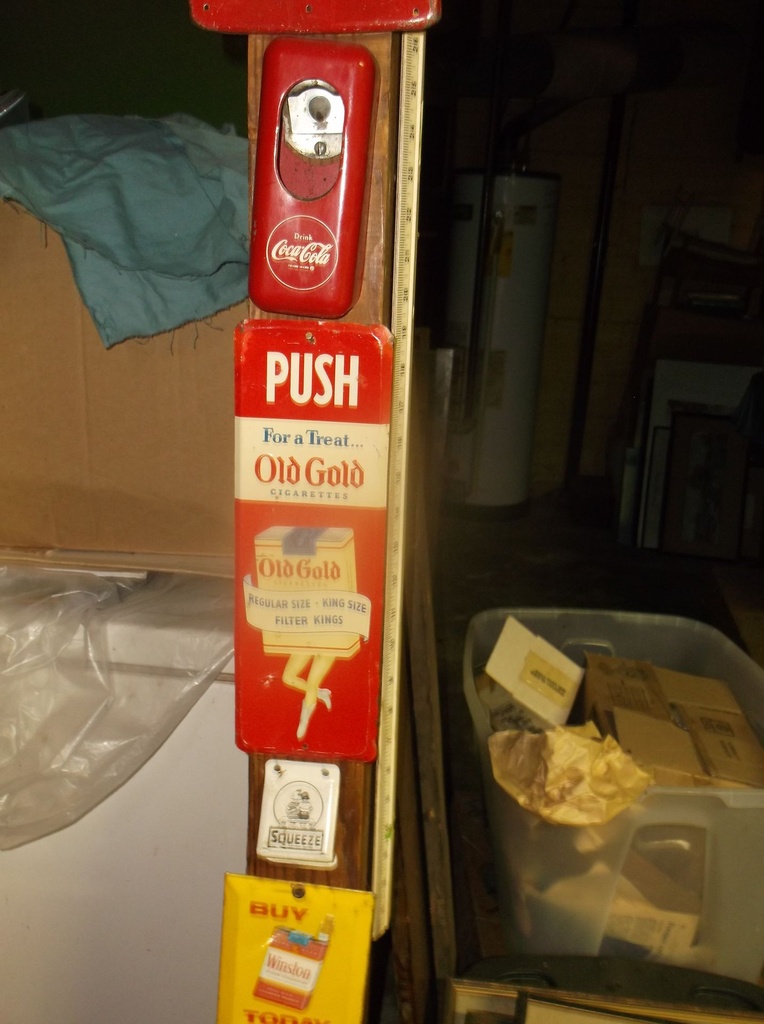 DSCF1351.JPG
