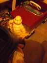DSCF1487.JPG
