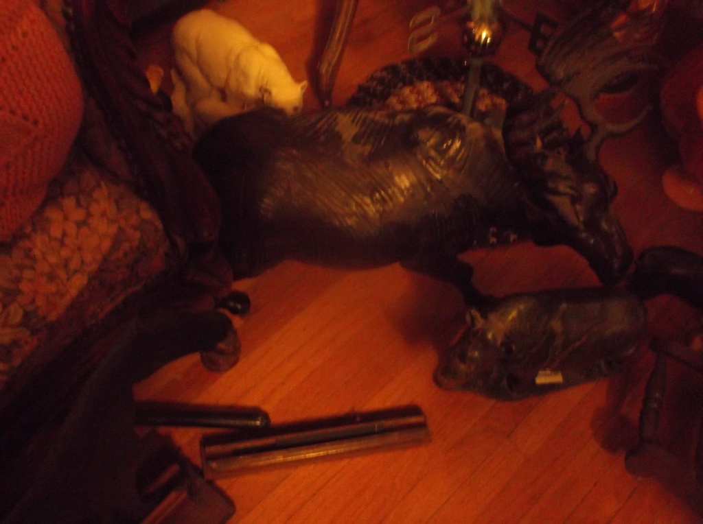 DSCF1549.JPG
