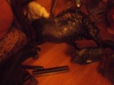DSCF1549.JPG