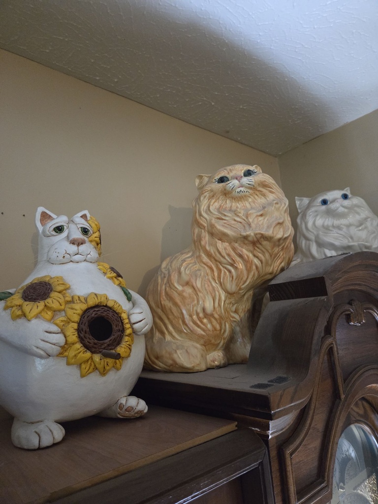 20260818_172943.jpg