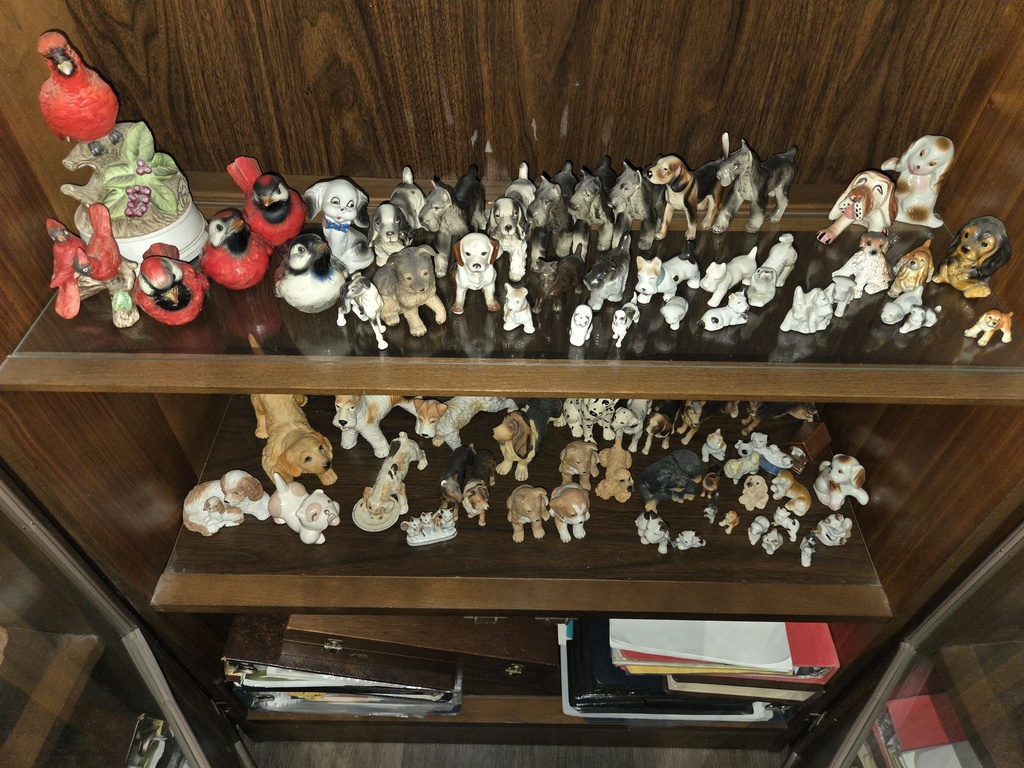 20260818_173151.jpg