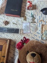 PXL_20250913_205043338.jpg